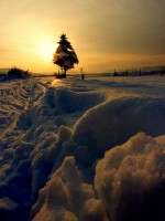 /album/belotografia-fotograficka-sutaz-2010/a10-hrejive-slnko-v-mrazivej-krajine-preview-jpg/